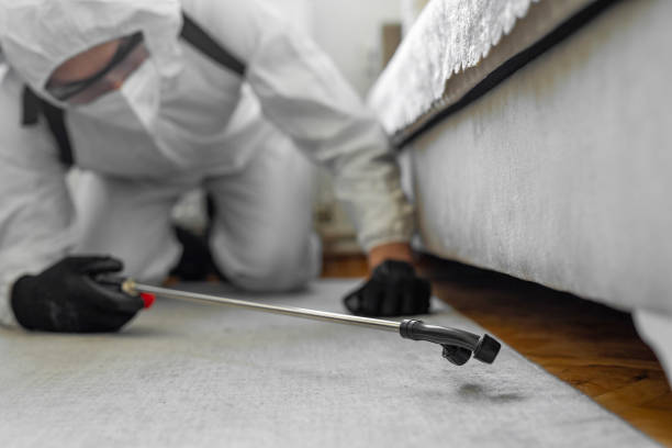 Professional Termite Control technician working in Geneva, OH