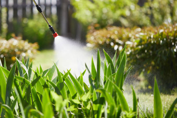 24/7 Emergency Termite Control experts in Geneva, OH