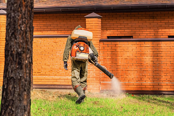 Top rated local Termite Control specialists in Geneva, OH